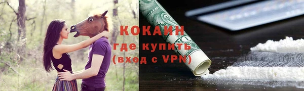 a pvp Бородино