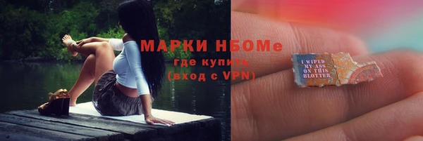 a pvp Бородино