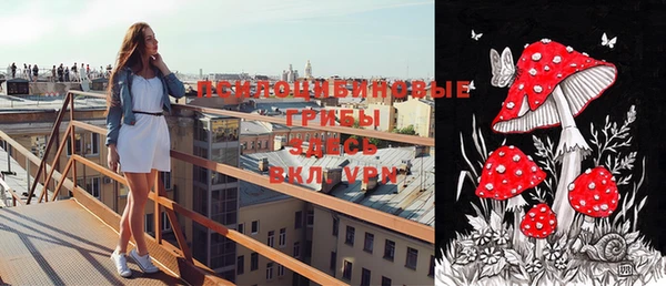 a pvp Бородино