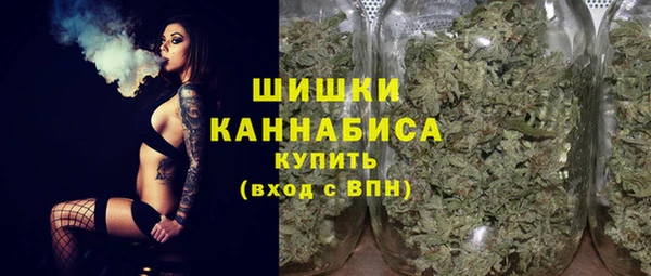 a pvp Бородино
