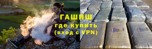a pvp Бородино