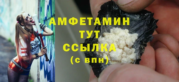 a pvp Бородино