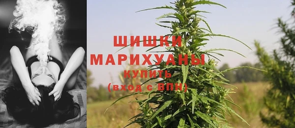 a pvp Бородино