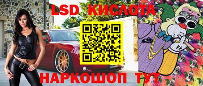 гашик Берёзовский