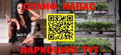 гашик Берёзовский