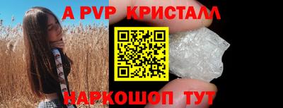 гашик Берёзовский