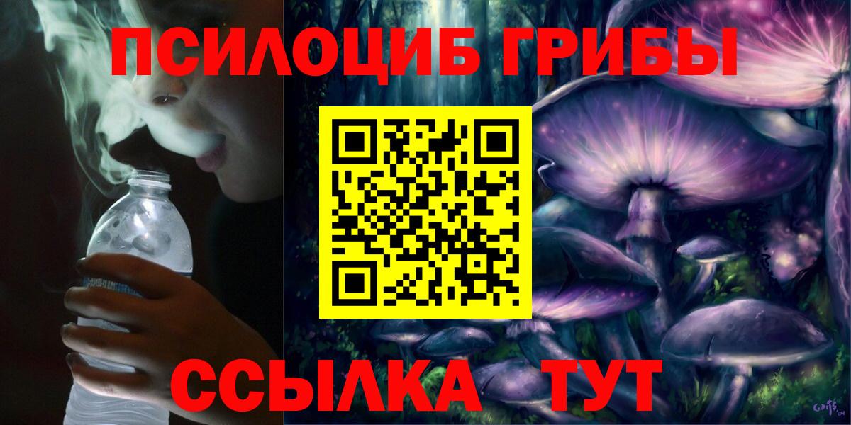 Галлюциногенные грибы Cubensis Горно-Алтайск