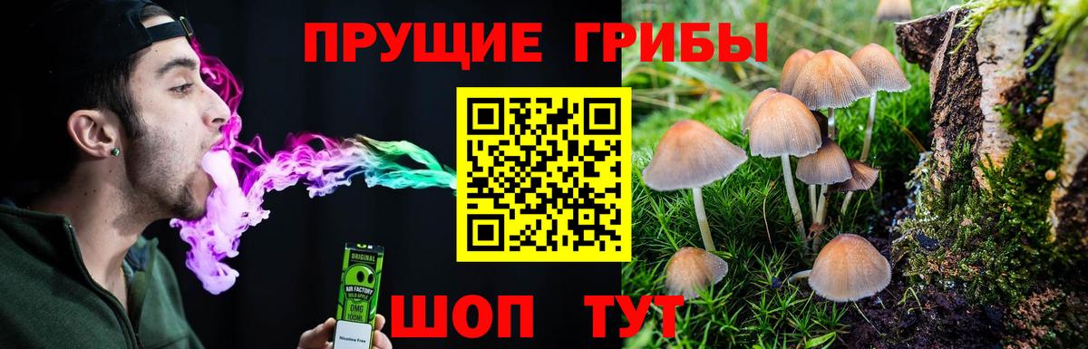 Горно-Алтайск  сколько стоит  Галлюциногенные грибы мицелий  Вход с VPN  Галлюциногенные грибы GOLDEN TEACHER 
